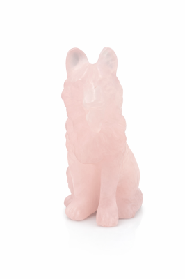 5796125F-D3EC-478E-8B0D-E07184F351FA