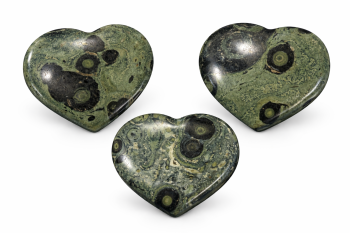 82590961-6218-4925-A309-8C27165E645F