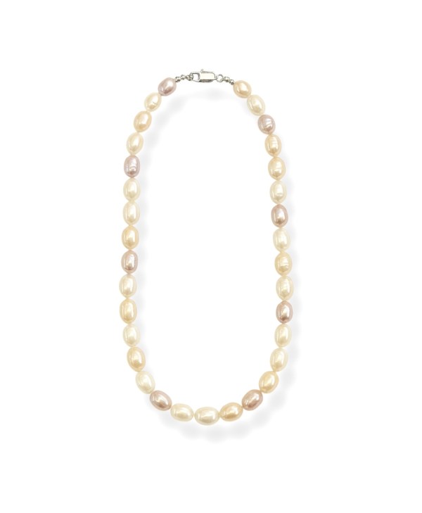 Photoroom_20250802_113002