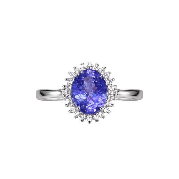 Photoroom_20260216_140917