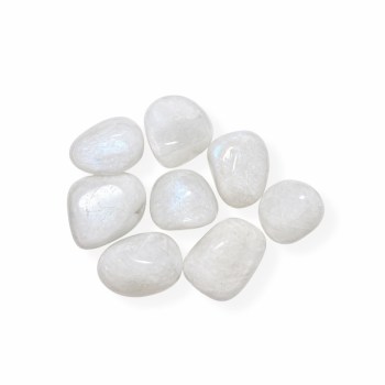 Photoroom_20260427_161536