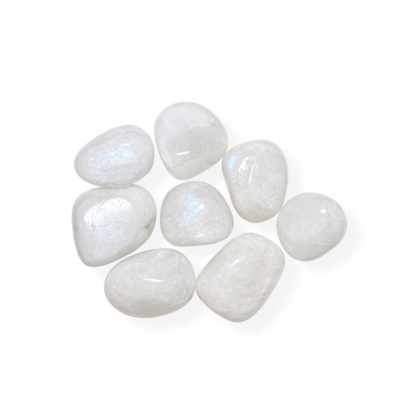 Photoroom_20260427_161536